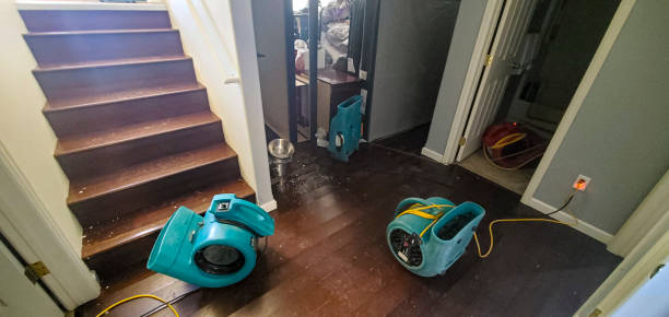 Best Water damage restoration services  in Stanton, CA
