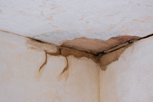 Best Local water damage restoration  in Stanton, CA
