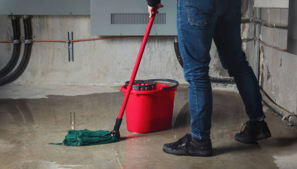 Best Ceiling water damage repair  in Stanton, CA