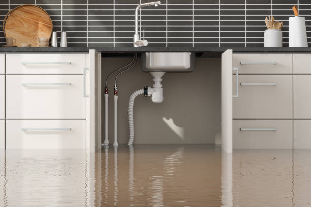 Best Flood damage cleanup  in Stanton, CA