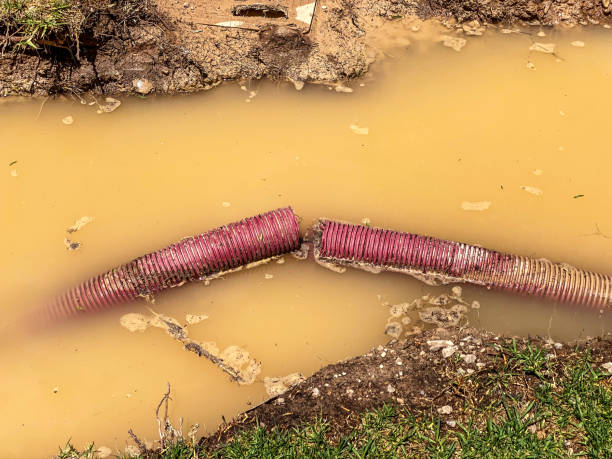 Best Flood restoration services  in Stanton, CA