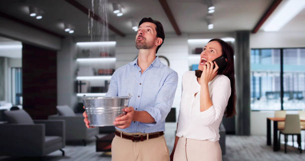 Best Water damage restoration near me  in Stanton, CA